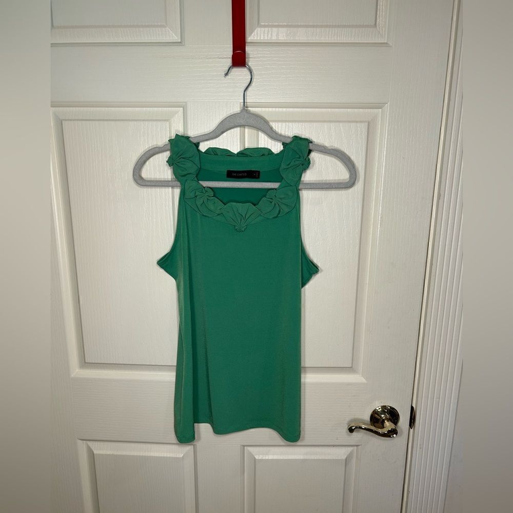 The Limited blouse